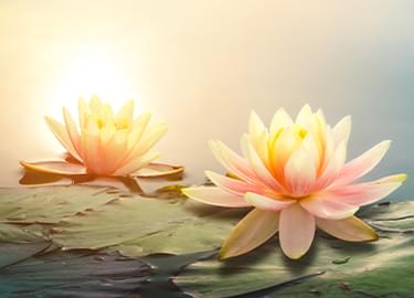 Ayurveda
